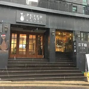 호텔 피터캣 신촌